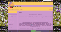 Desktop Screenshot of oceandrumwebwinkel.nl